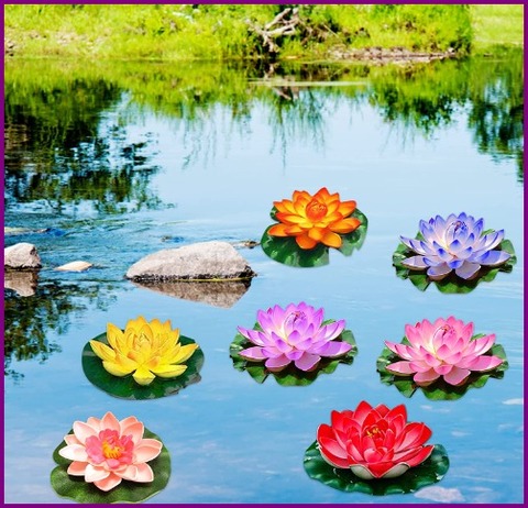 Fiori galleggianti per piscina