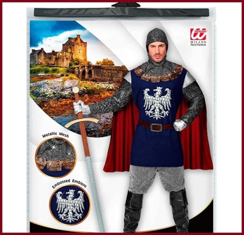 Costume sir lancillotto da cavaliere medievale per carnevale