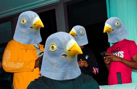Costume carnevale da piccione