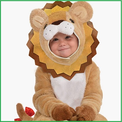 Costume carnevale re leone