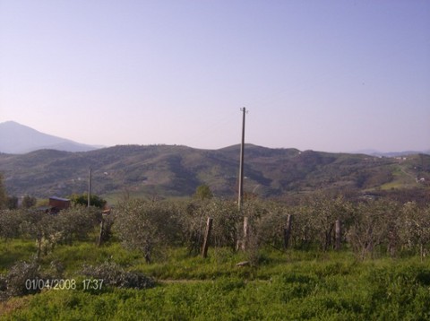 Terreno agricolo 80.0