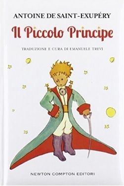 Il piccolo principe famoso libro per bambini