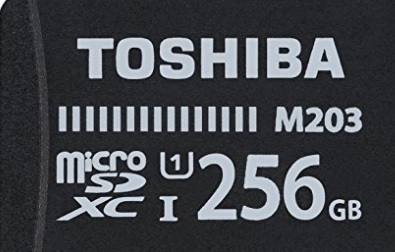 Memoria Di Archiviazione Toshiba 256 Gb