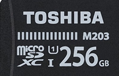 Memoria di archiviazione toshiba 256 gb