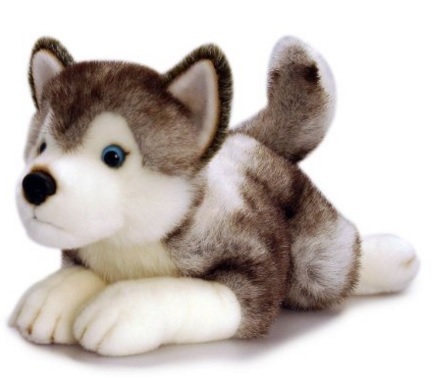 Peluche Cagnolino Husky Con Occhi Azzurri