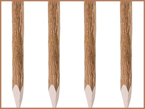 Pali Recinzione In Legno