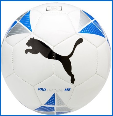 Pallone originale puma per allenamento