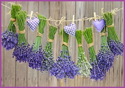 Passatoia fantasia lavanda