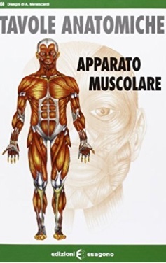 Tavole anatomiche del corpo umano e i suoi muscoli