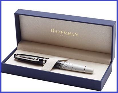 Stilografica waterman expert