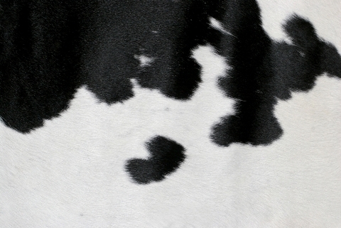 Tappeti pelle di mucca vera o finta | Grandi Sconti | Tappeti ORIENTALI e MODERNI