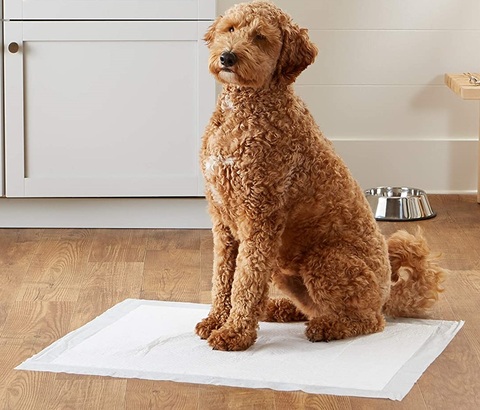Tappetini igienici per cani da 40 pezzi | Grandi Sconti | Tappetini igienici assorbenti