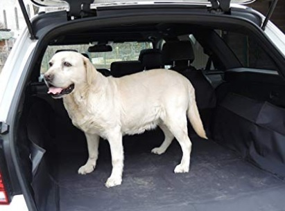 Telo auto cani jeep compass