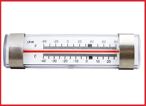 Termometro per frigorifero professionale