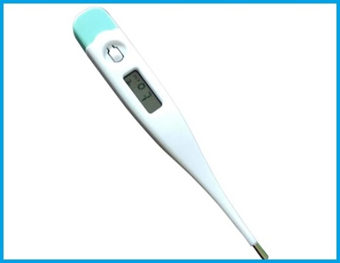 Termometro elettronico digitale