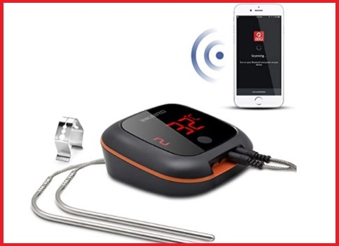 Termometro barbecue bluetooth | Grandi Sconti | Termometri