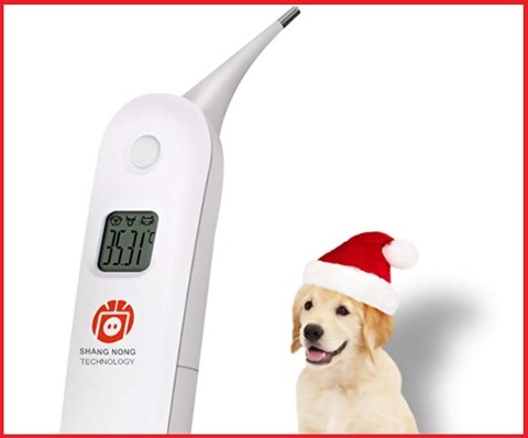 Termometro cani febbre
