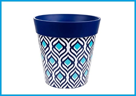 Vaso Colorato Per Piante